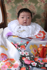 ���{�Q��1�b�����s�̎ʐ^�كz�b�^�X�^�W�I