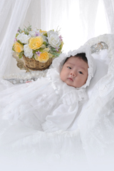 ���{�Q��3�b�����s�̎ʐ^�كz�b�^�X�^�W�I